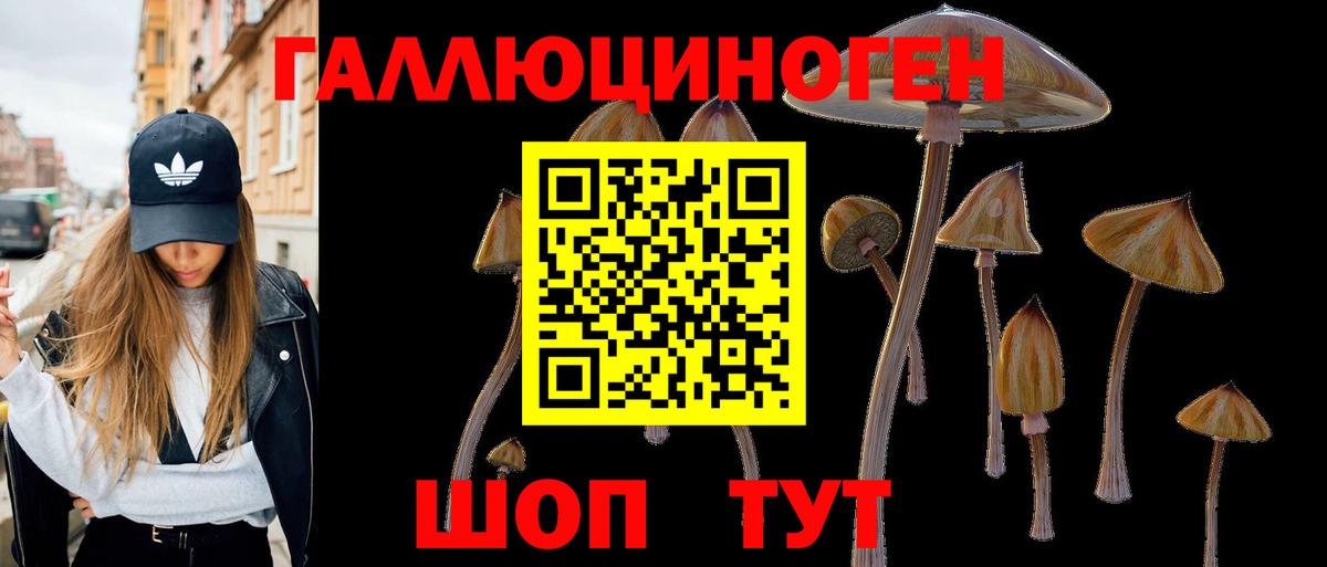 Каменск-Шахтинский  Галлюциногенные грибы Psilocybe  Вход с VPN 