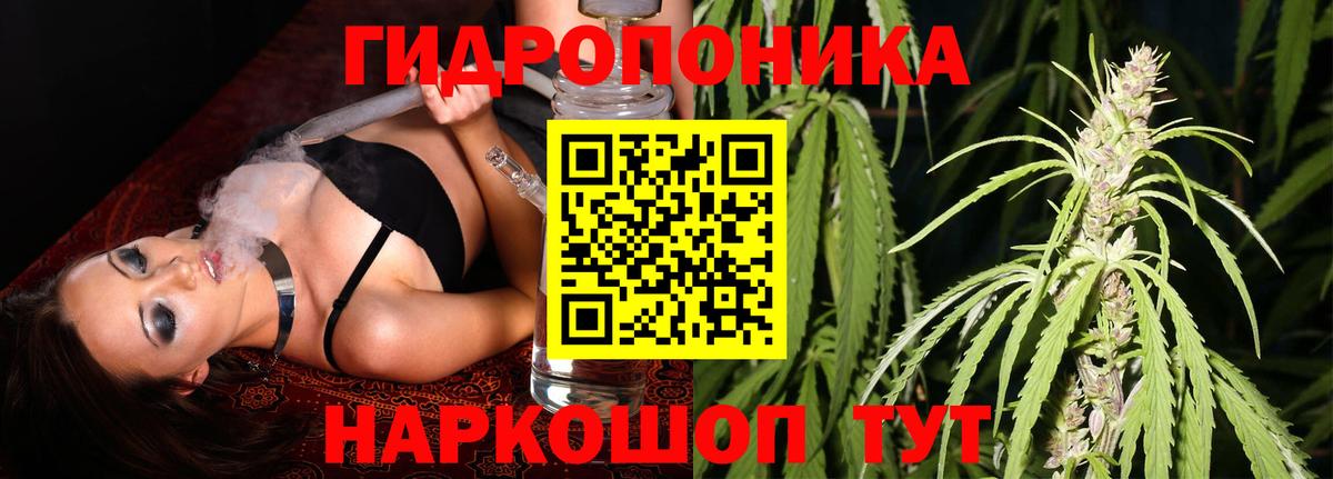 Шишки марихуана White Widow  Бошки Шишки THC 21%  Каменск-Шахтинский  Вход с VPN  Каннабис марихуана 